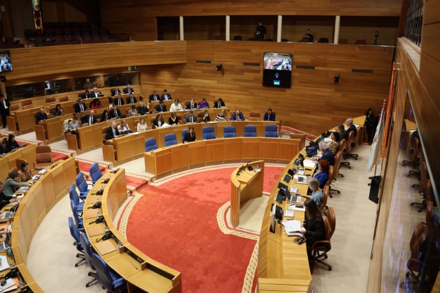  Proposicións non de lei aprobadas polo Pleno do Parlamento de Galicia o 20 de novembro de  2024